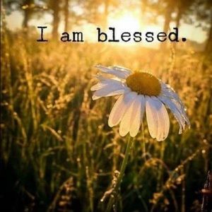 Meet your Posher, Sophia